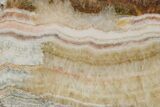Polished Banded Travertine Slab - New Mexico #324319-1